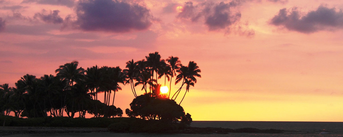 夏威夷旅遊飯店推薦-費爾蒙特蘭花渡假村