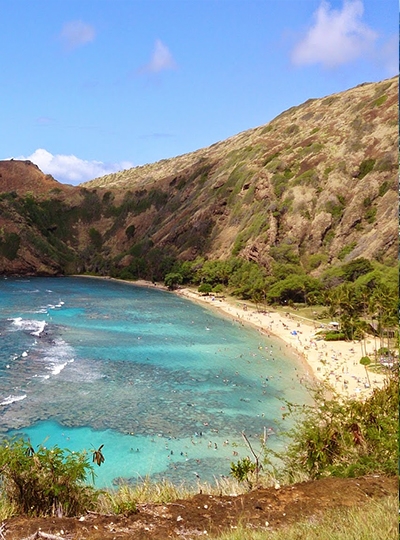 恐龍灣浮潛(含接送、浮潛用具，但門票、救生衣需自理(約7.5~8美金)→波里尼西亞魔術秀