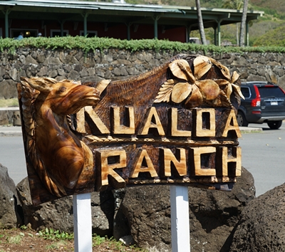  古蘭尼牧場全日遊KUALOA RANCH(含接送、午餐+2項體驗活動+騎馬或ATV越野車)