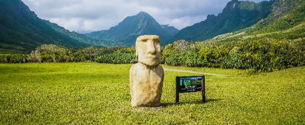 夏威夷旅遊推薦-古蘭尼牧場