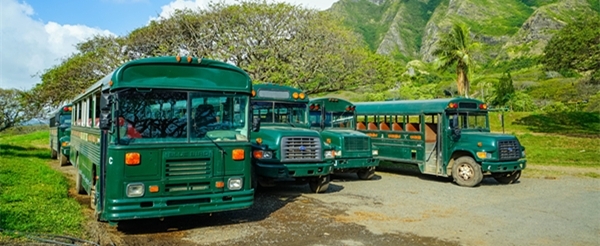 古蘭尼牧場全日遊KUALOA RANCH(含接送、午餐、騎馬或越野車)